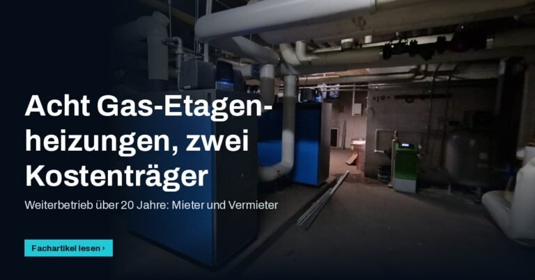 Heizzentrale im Keller, Titel „Acht Gas-Etagenheizungen, zwei Kostenträger“